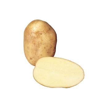 Loose Wilja Potatoes