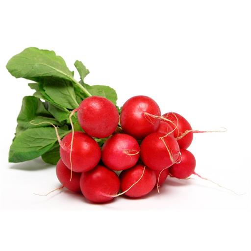 Radish