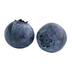 Blueberries (125g)