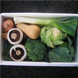 Veggie Box - Great Everyday Large