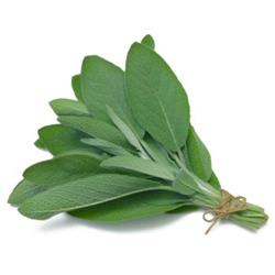 Fresh Sage (50g)