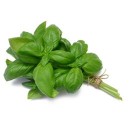 Fresh Basil (50g)