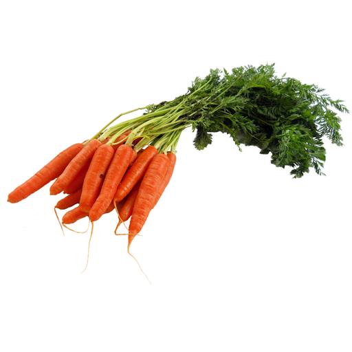 Bunched Carrots