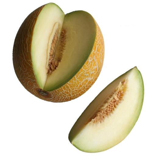 Galia Melon