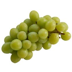 Seedless Green Grapes