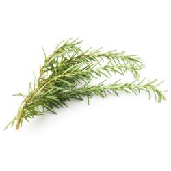 Fresh Rosemary (50g)