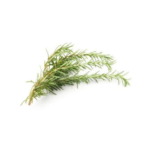 Fresh Rosemary (50g)