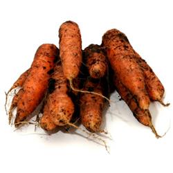 Local Dirty Carrots