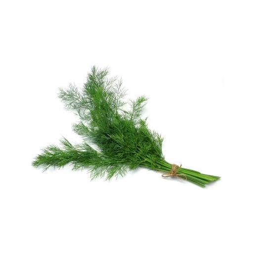 Fresh Dill (50g)