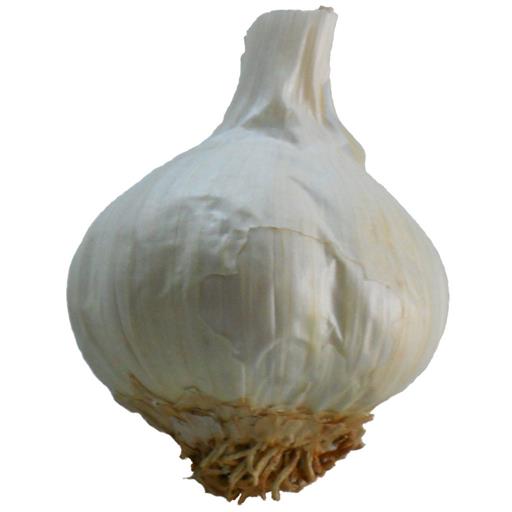 Garlic Farm Garlic Bulb