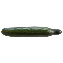 Large Cucumber