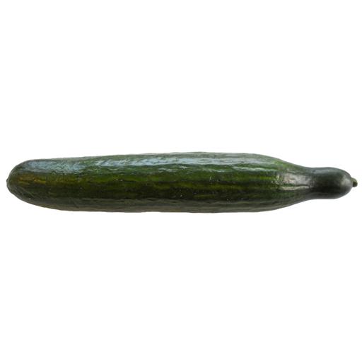 Large Cucumber