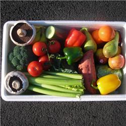 Mixed Produce Box - Large