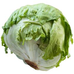 Iceberg Lettuce