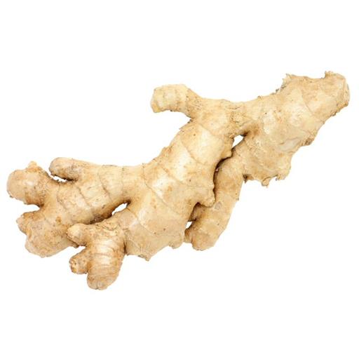 Ginger Root