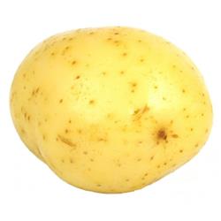 10kg Box Washed Baby Salad Potatoes (10kg)
