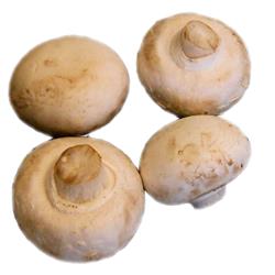 Button Mushrooms