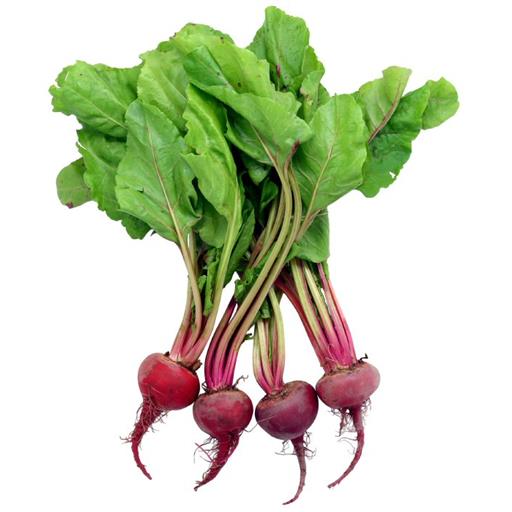 Bunched Beetroot