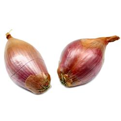 Shallots