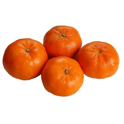 Satsumas/Nadacots