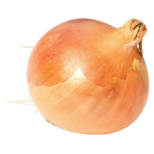 Spanish Onions