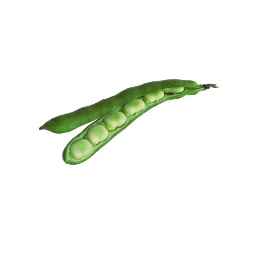 Broad Beans