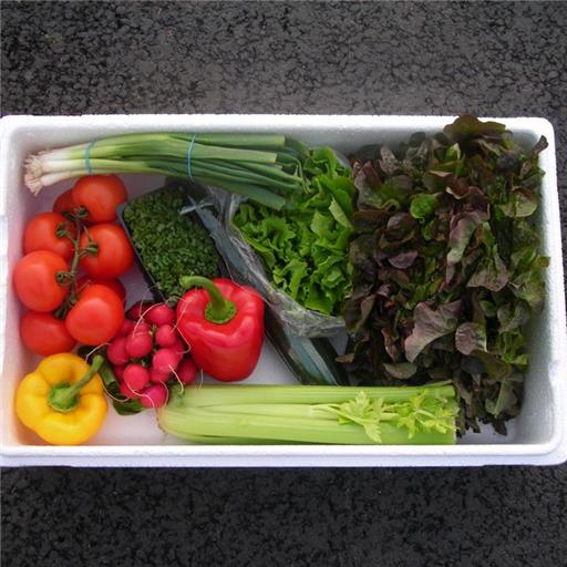 Veggie Box - Salad Selection