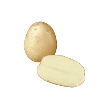 Wilja 25kg Potatoes (25kg)